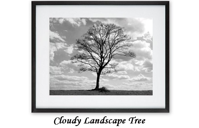 Cloudy Landscape Tree Print